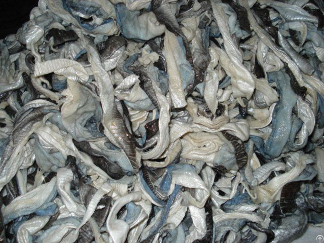 Frozen Pangasius