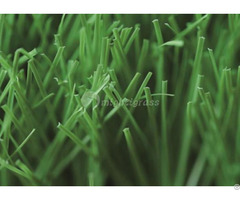 Residential Artificial Grass Mt Venus