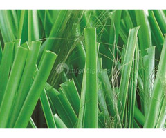 Artificial Grass For Football Mt Ubest Plus