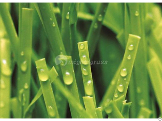Synthetic Grass For Tennis Mt Peace