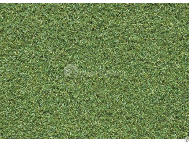 Artificial Grass For Hockey Mt Cq