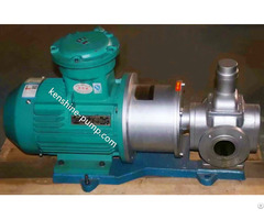 Ycbc Magnet Circular Arc Gear Pump