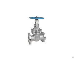 Din Flange Stainless Steel Gate Valve