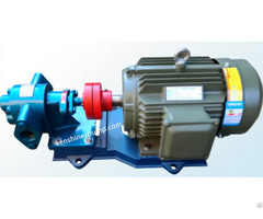 Zyb Waste Oil Gear Pump