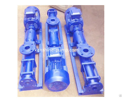 G Helical Rotor Pump