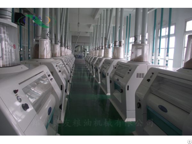 300t 24h Floor Type Wheat Flour Production Line