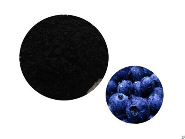 Bilberry Extract Powder