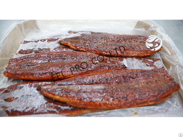 Frozen Broiled Eel Fillet