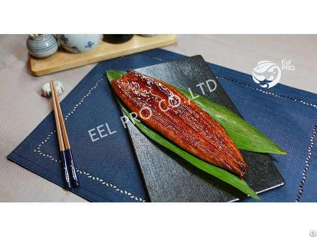 Farmed Raised Grilled Eel
