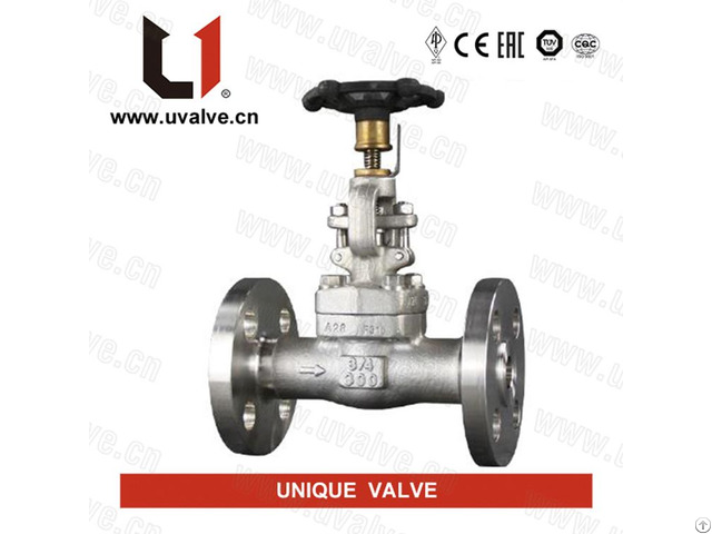 Astm A182 F304 Gate Valve