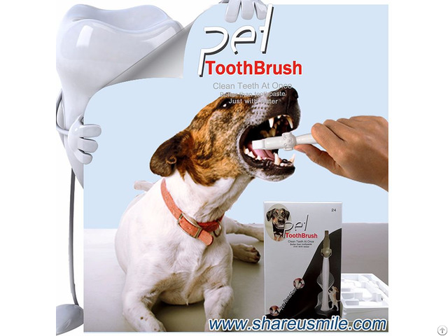 At Home Shareusmile Pet Dental Care Toothbrushes