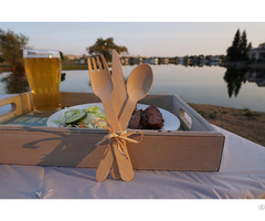 Disposable Wooden Cutlery