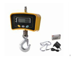 Crane Scale 30kg 10t