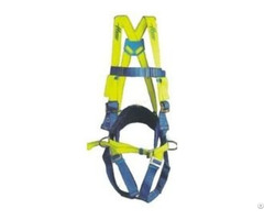 Full Body Harness