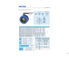 Concentric Flanged Butterfly Valves