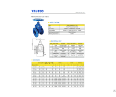 Nrs Soft Seated Gate Valves