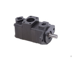 V10 20 Series Vane Pump