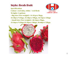 Fresh Dragon Fruits