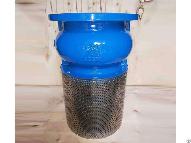 Di Foot Check Valve