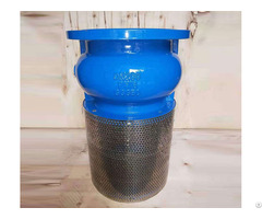 Di Foot Check Valve
