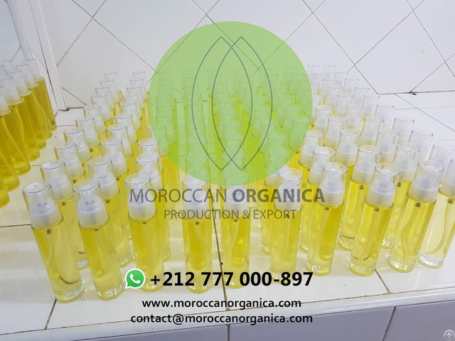 Organic Prickly Pear Seed Oil Wholesale Morocco