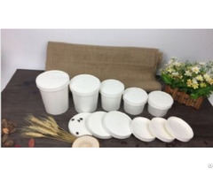 Biodegradable Pla Lined Disposable Paper Soup Cup With Lid