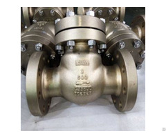 Aluminum Bronze Swing Check Valve C95800 Dn80 Pn100