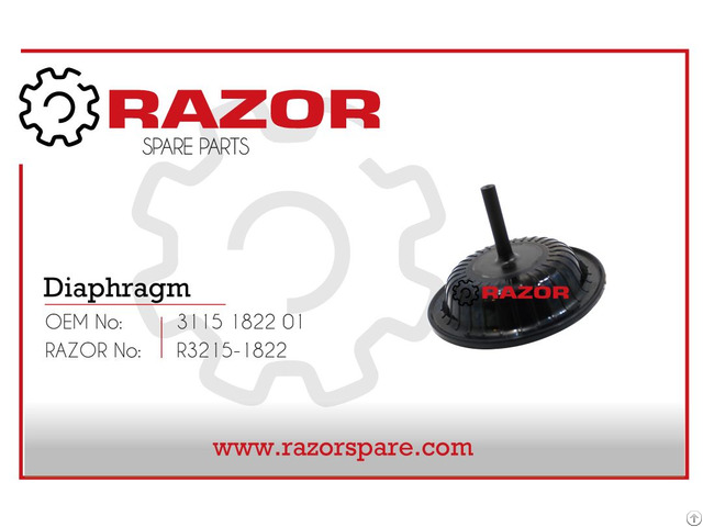 Diaphragm 3115 1822 01