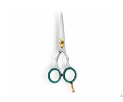 Professional Barber Scissor