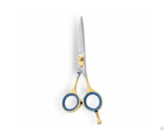 Barber Scissor