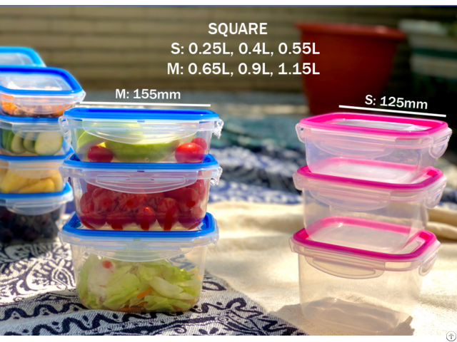 Food Container With Fixed Sealing Strip