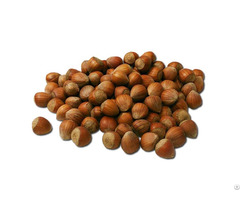 Hazelnuts For Sale