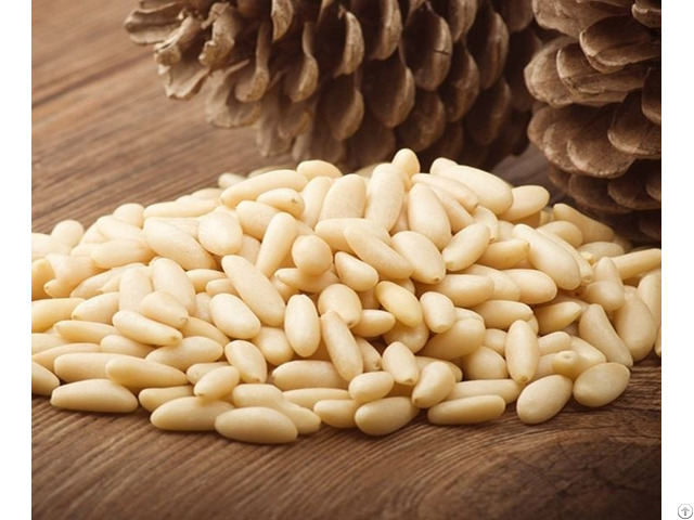 Pine Nuts For Sale