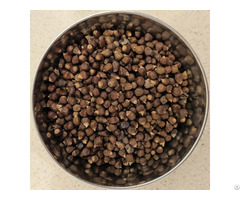 Grains Of Paradise Spice For Sale