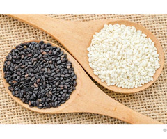 Sesame Seeds For Sale