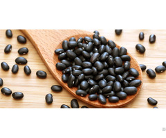 Black Beans For Sale