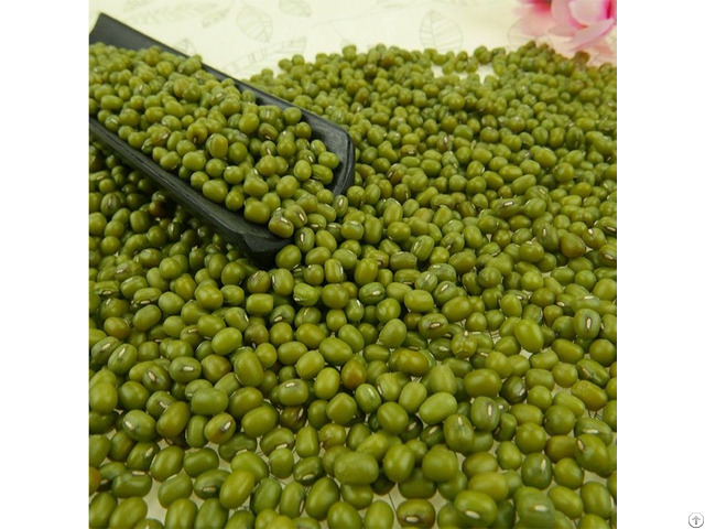 Green Mung Beans For Sale