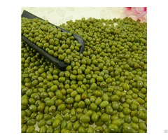 Green Mung Beans For Sale