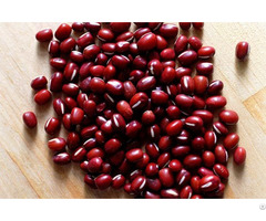 Adzuki Beans For Sale