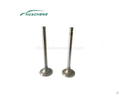 Marine Power Parts Engine Valve For Cummins K19