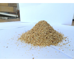 Pine Wood Sawdust