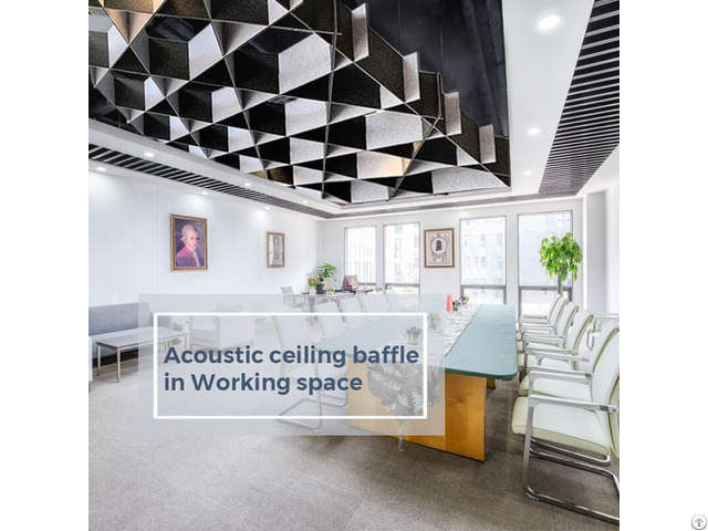 Acoustic Ceiling Baffle In Working Space