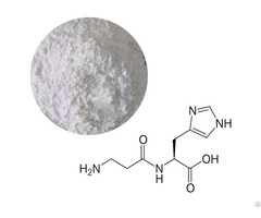 L Carnosine Powder