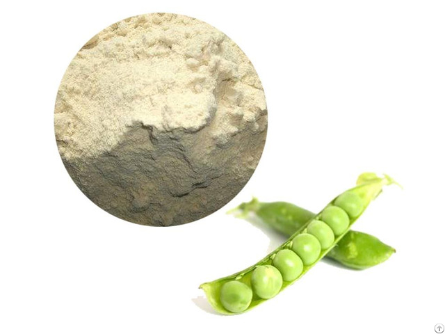 Pea Protein