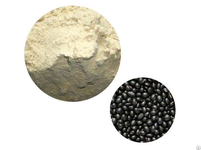 Black Bean Protein