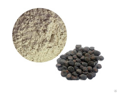 Griffonia Seed Extract