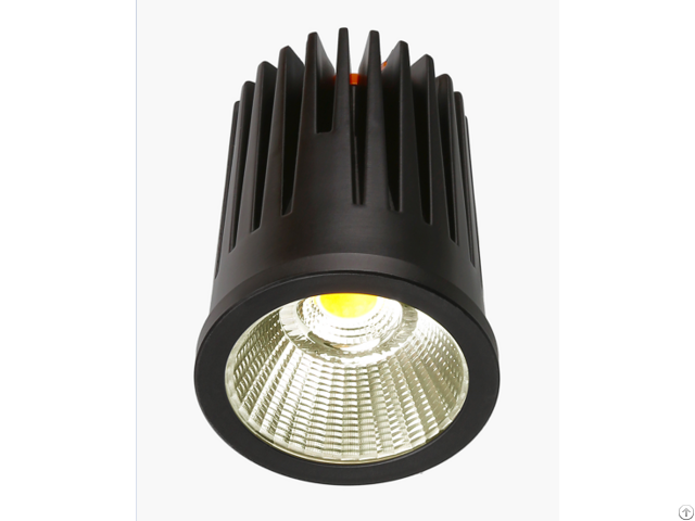 Hot Sale High Brightness Factory Price Led Downlight Module