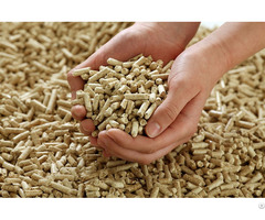 High Quality Pine Wood Pellet