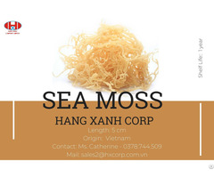 Sea Moss Seaweed