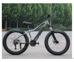 Customized High End Carbon Fiber Hybrid Electric Bike 2020